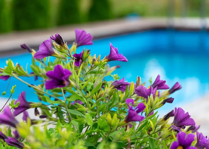 Kandimaa Saaremaal Varpe